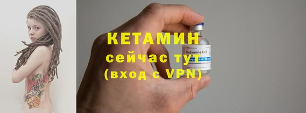 стаф Россошь